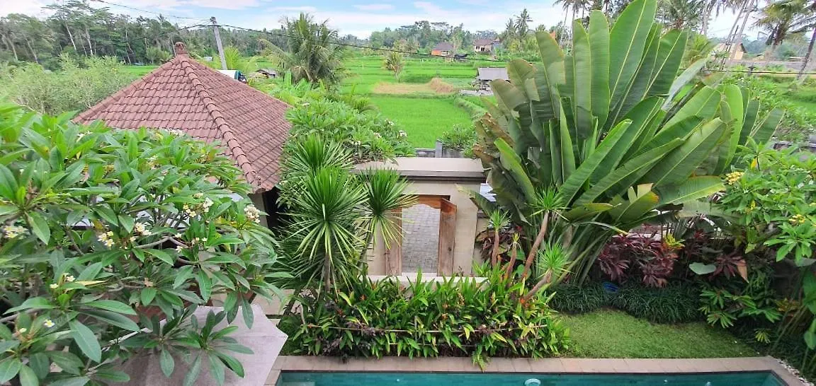 Amanda Ubud Villa Indonésie