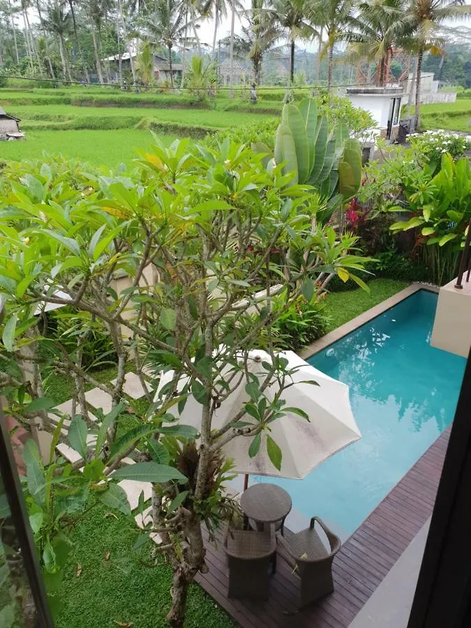 Amanda Ubud Villa Indonésie